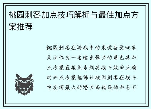 桃园刺客加点技巧解析与最佳加点方案推荐